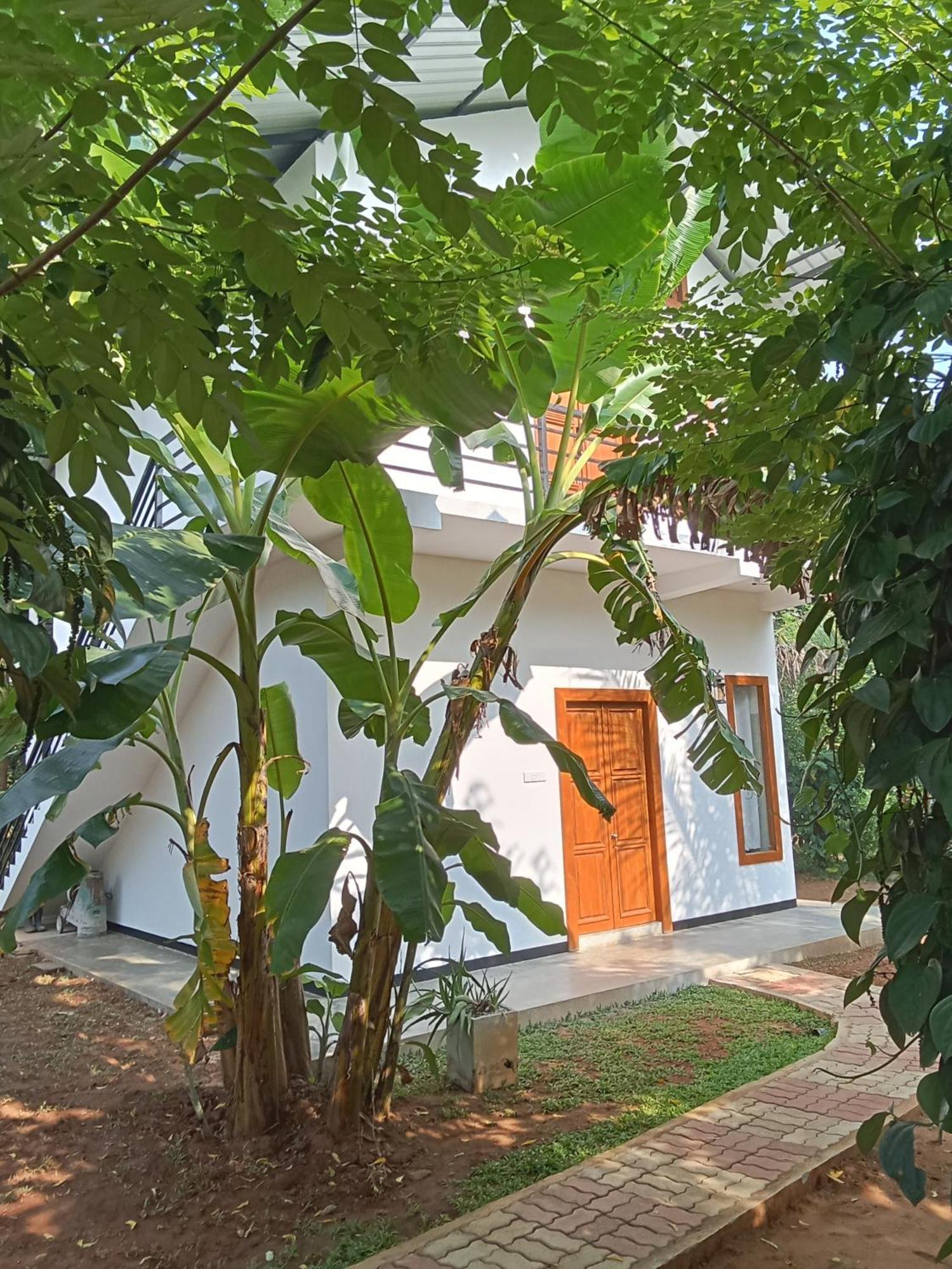 Green View Safari Resort Udawalawe Luaran gambar